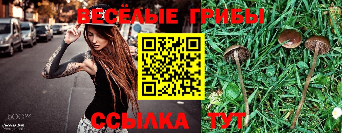 Галлюциногенные грибы ЛСД Шадринск