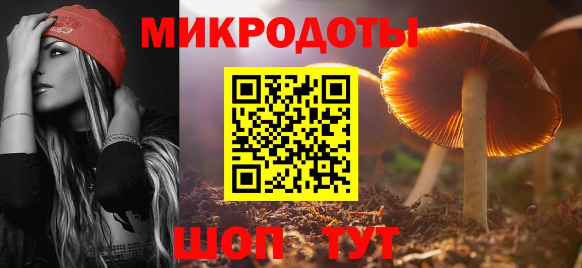Псилоцибиновые грибы Psilocybe  Вход с VPN  цены   Псилоцибиновые грибы мухоморы  Шадринск 